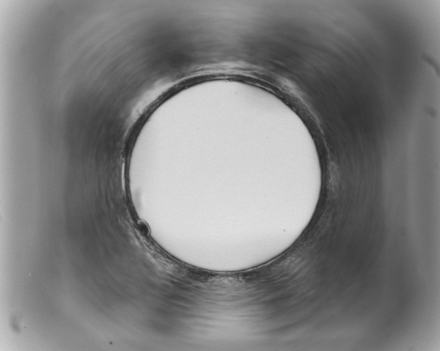 X0000099301320200805301125