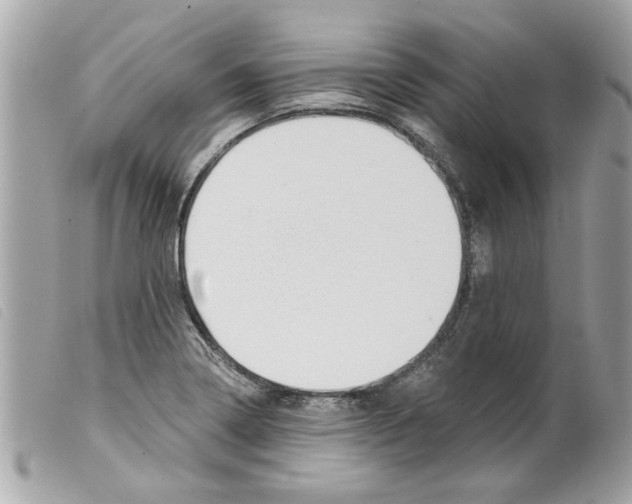 X0000099301322200805301125