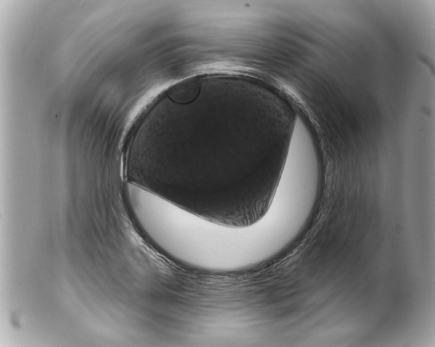 X0000099301323200805301125