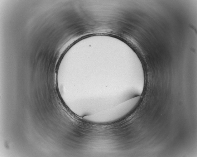 X0000099301324200805301125