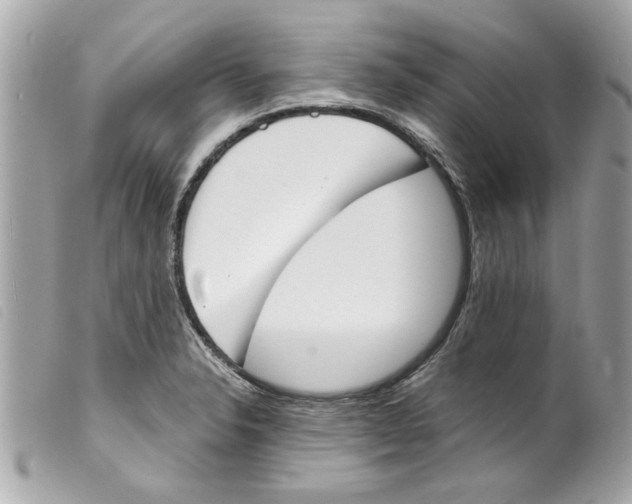 X0000099301326200805301125