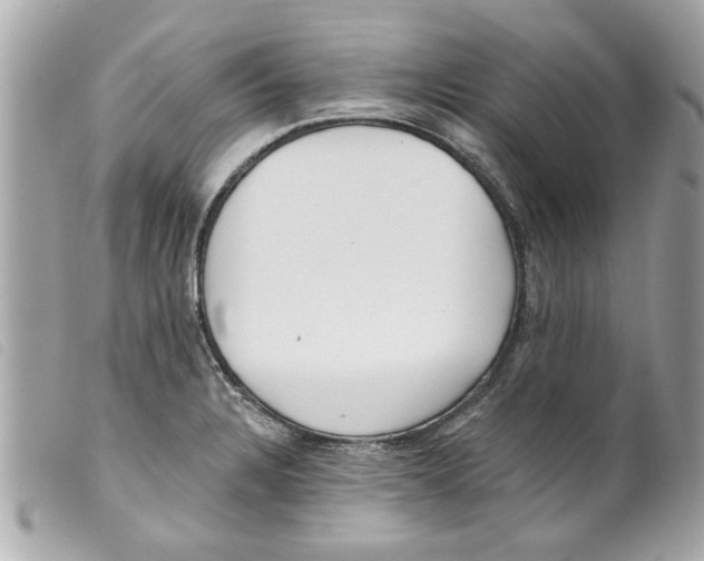 X0000099301328200805301125