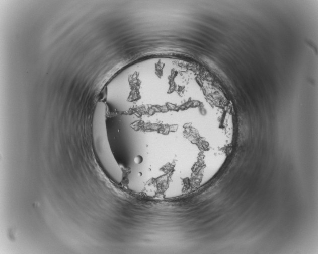 X0000099301329200805301125