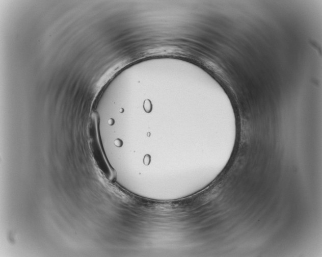 X0000099301330200805301125