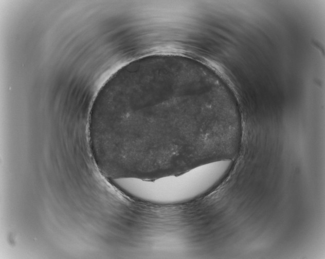 X0000099301331200805301125