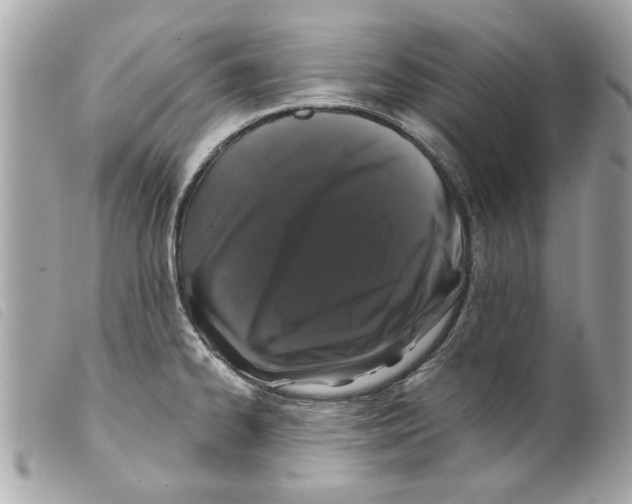 X0000099301334200805301125