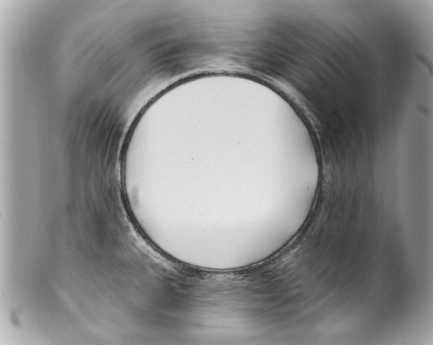 X0000099301335200805301125