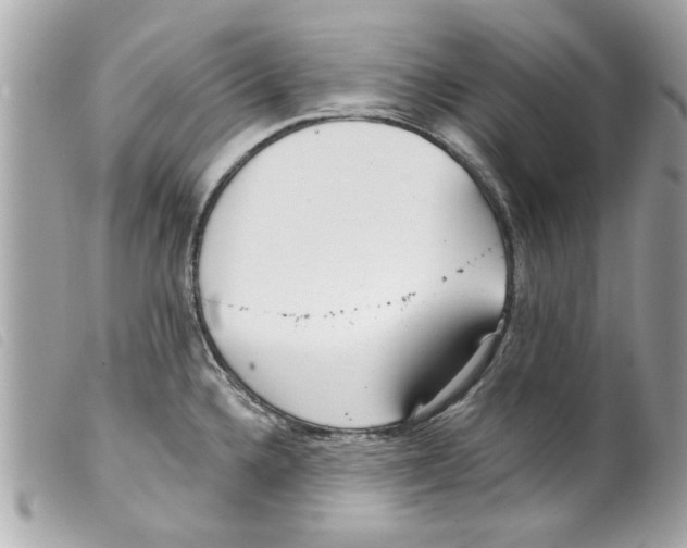 X0000099301336200805301125