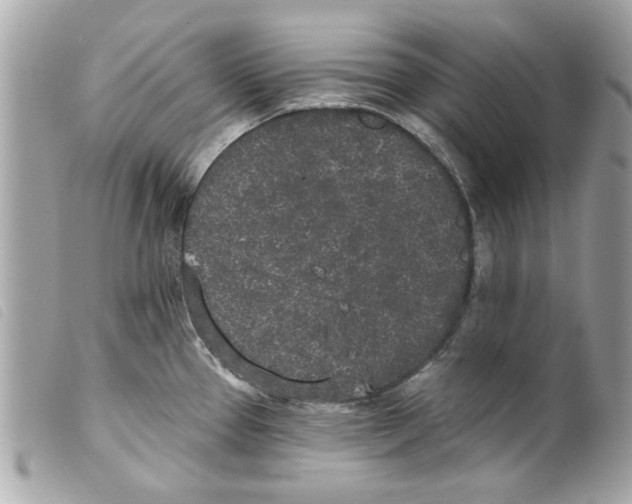 X0000099301337200805301125