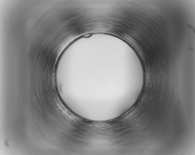 X0000099301340200805301125