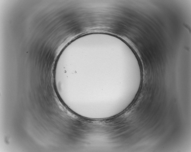 X0000099301341200805301125