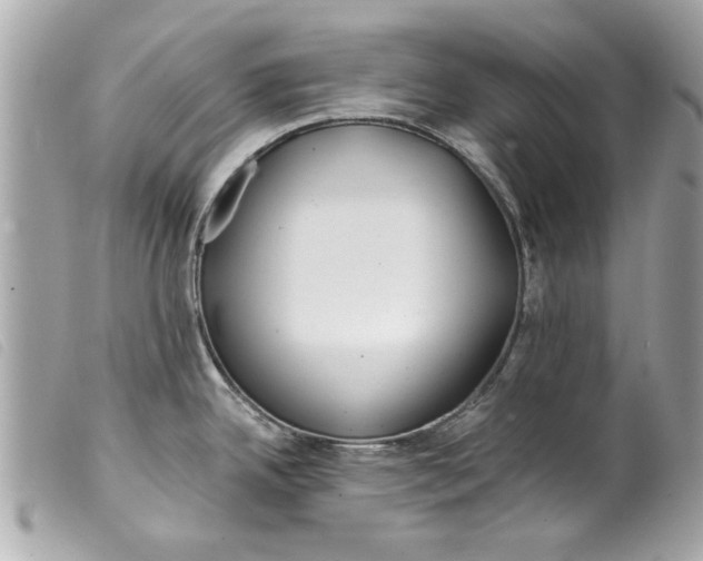 X0000099301342200805301125