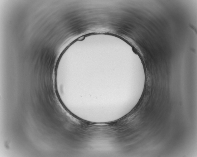 X0000099301343200805301125