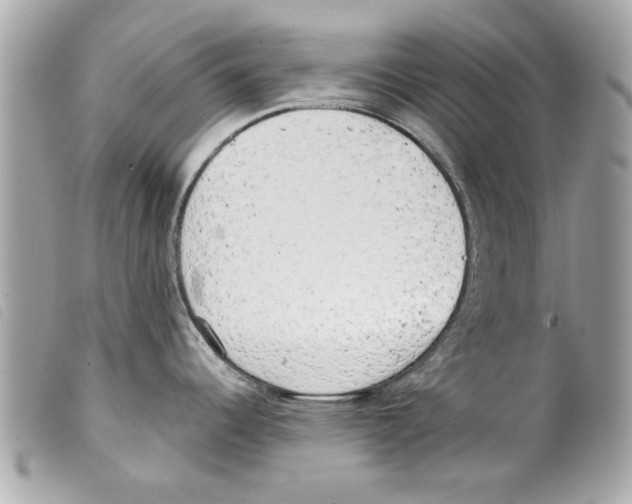 X0000099301344200805301125