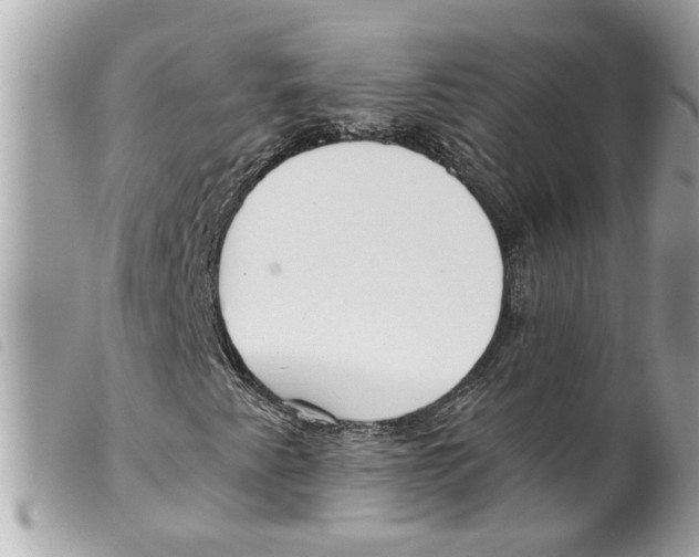 X0000099301345200805301125