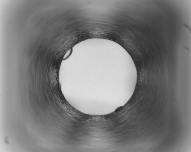 X0000099301346200805301125