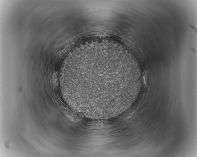 X0000099301347200805301125