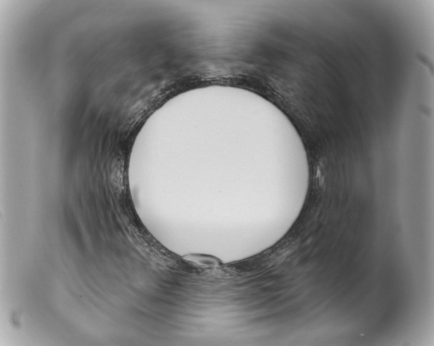 X0000099301348200805301125