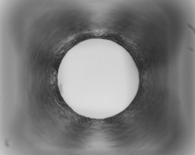 X0000099301349200805301125