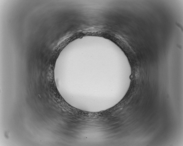 X0000099301350200805301125