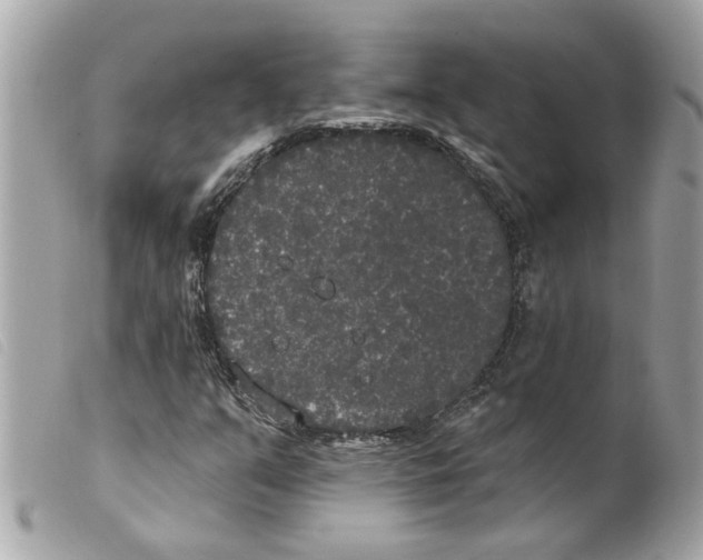 X0000099301351200805301125