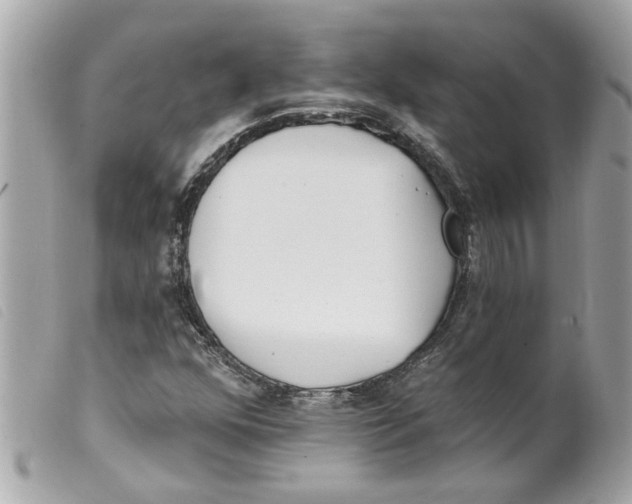 X0000099301352200805301125