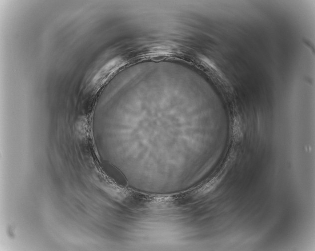 X0000099301353200805301125