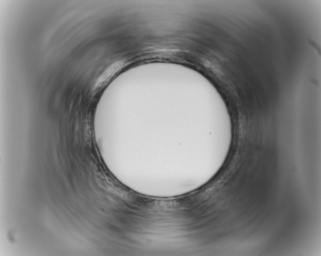 X0000099301354200805301124