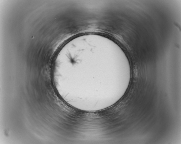 X0000099301356200805301124