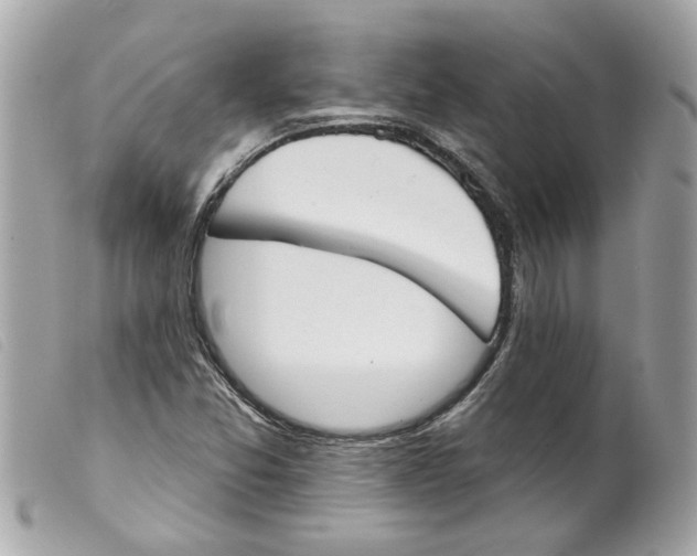 X0000099301357200805301124