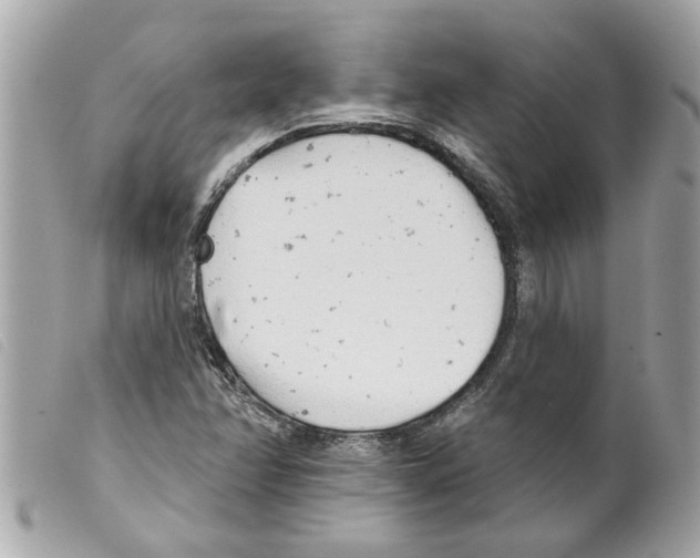 X0000099301358200805301124