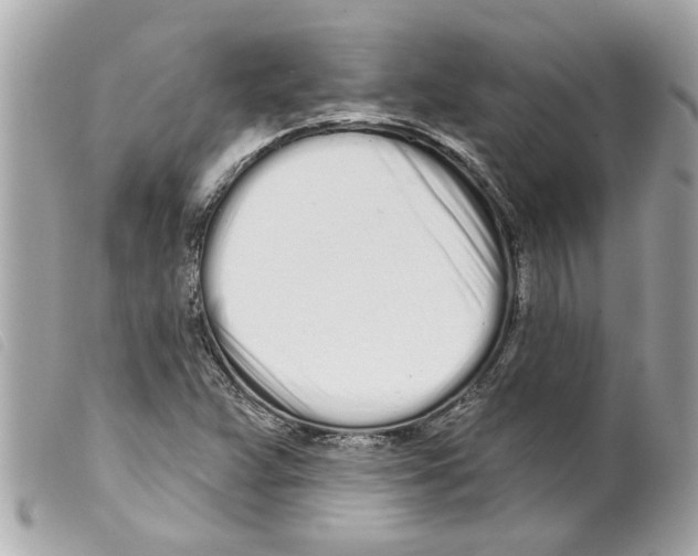 X0000099301359200805301124