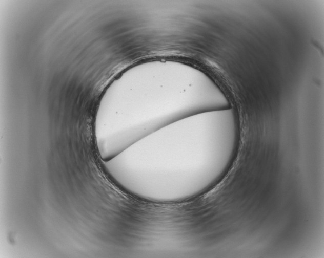 X0000099301361200805301124