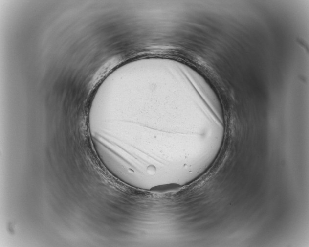 X0000099301362200805301124