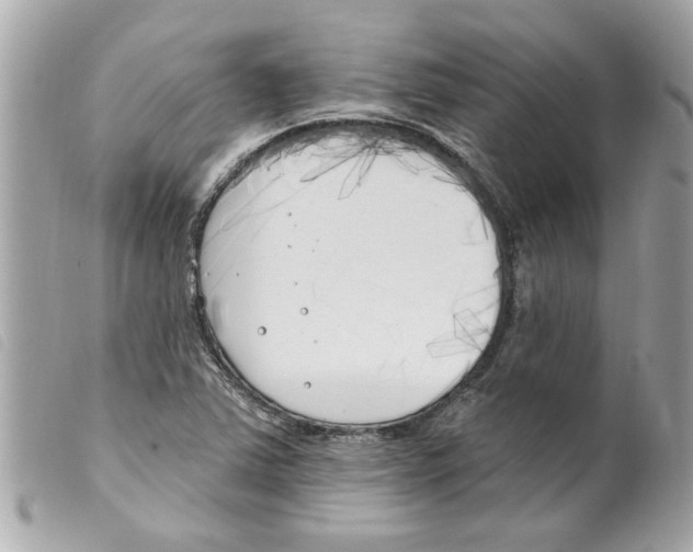 X0000099301363200805301124