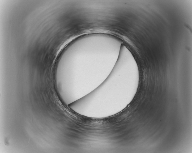 X0000099301364200805301124