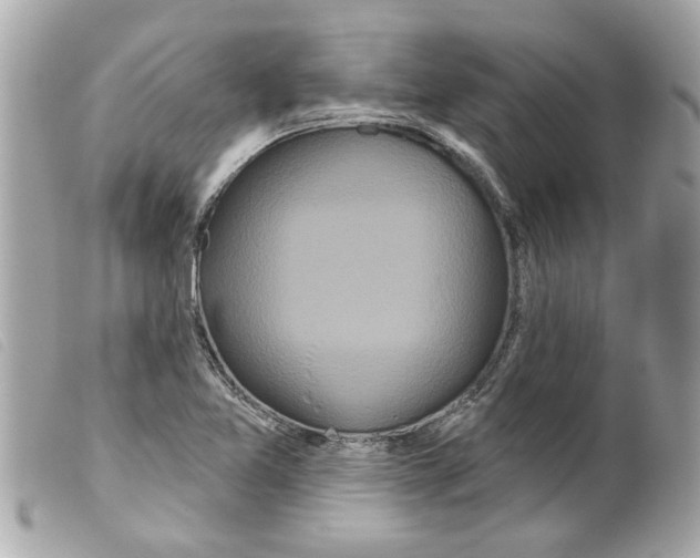 X0000099301365200805301124