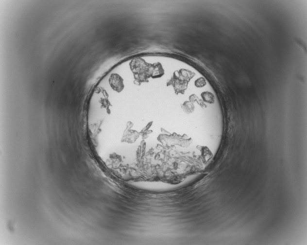 X0000099301367200805301124