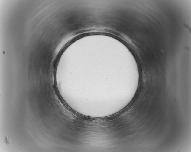 X0000099301368200805301124