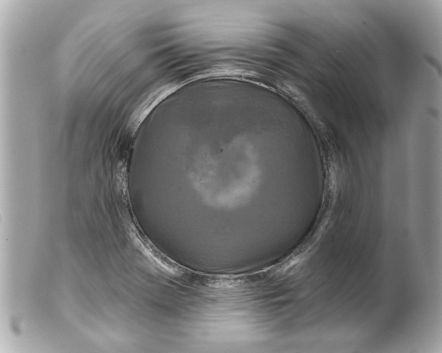 X0000099301369200805301124