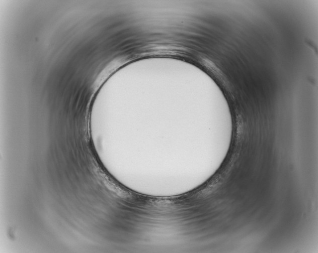 X0000099301370200805301124