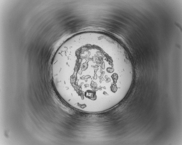 X0000099301371200805301124