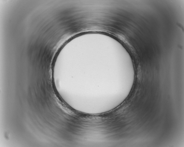 X0000099301372200805301124