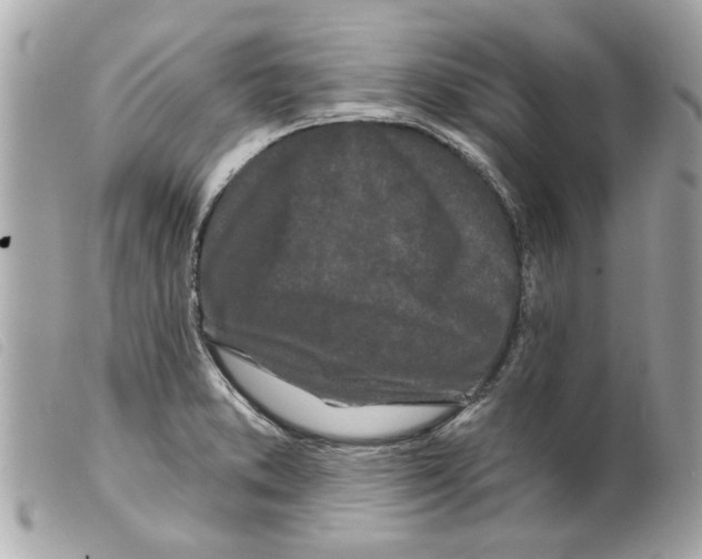 X0000099301373200805301124