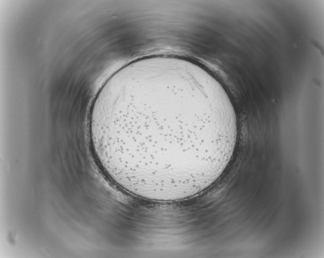 X0000099301375200805301124