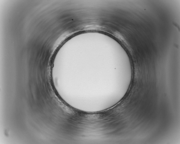 X0000099301376200805301124