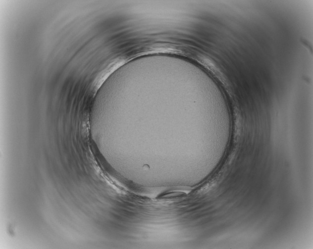 X0000099301377200805301124