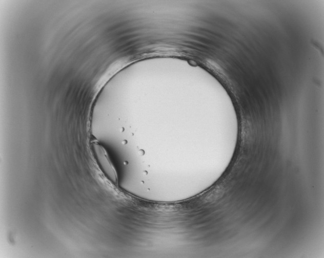 X0000099301378200805301124