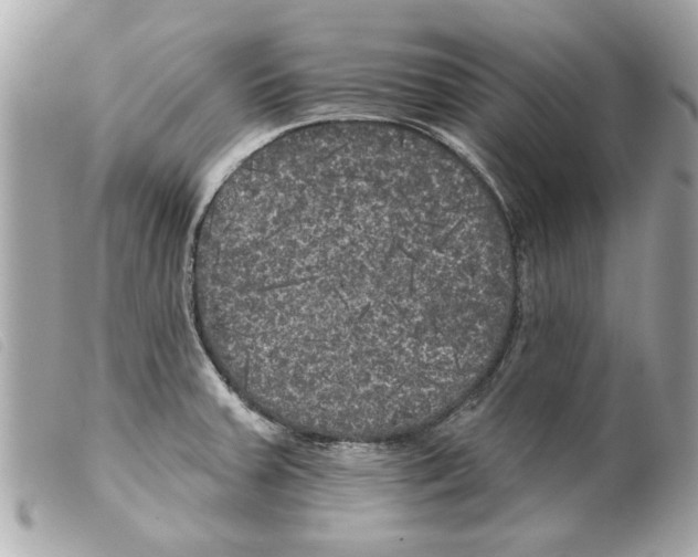 X0000099301379200805301124