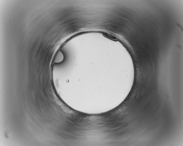 X0000099301380200805301124